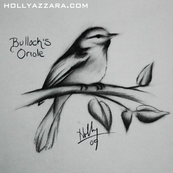 Holly Azzara - Birdy Charcoal